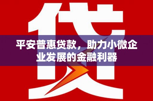 多伦平安普惠贷款，助力小微企业发展的金融利器