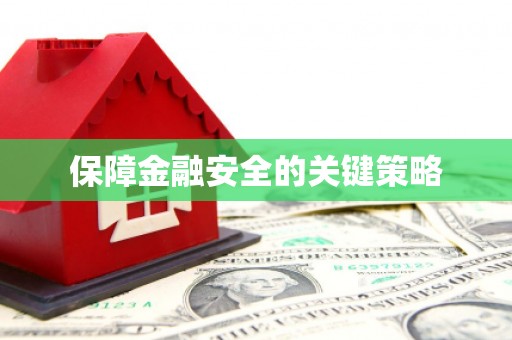 新华保障金融安全的关键策略