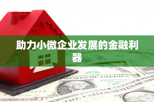 久治助力小微企业发展的金融利器