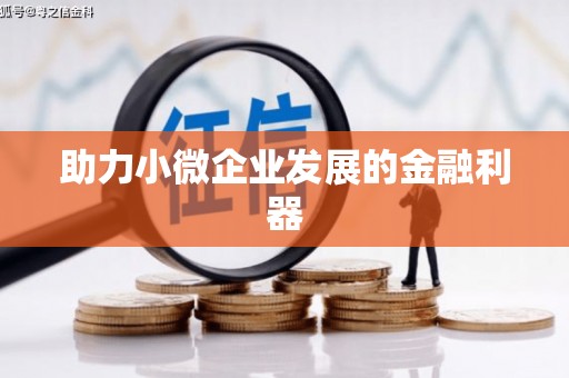 宁乡助力小微企业发展的金融利器