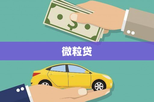 徐水微粒贷