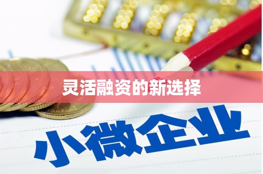 田家庵灵活融资的新选择
