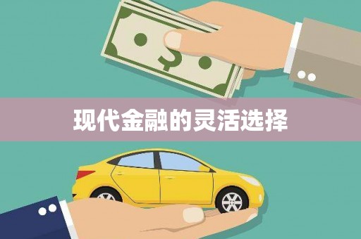 会宁现代金融的灵活选择