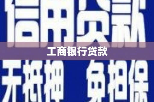金湖工商银行贷款