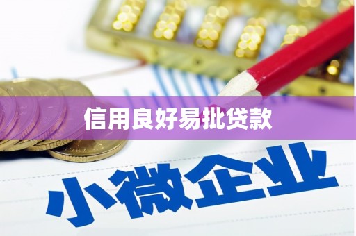沿河信用良好易批贷款