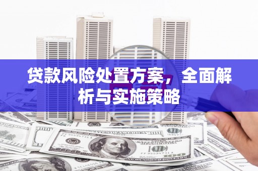惠山贷款风险处置方案，全面解析与实施策略