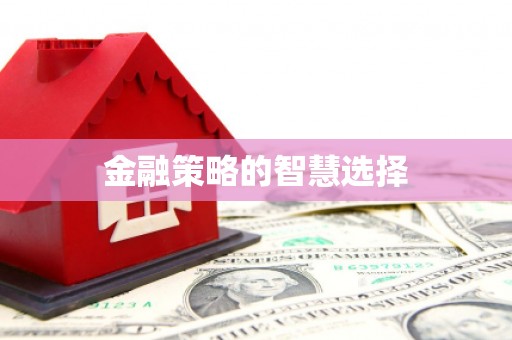 永新金融策略的智慧选择