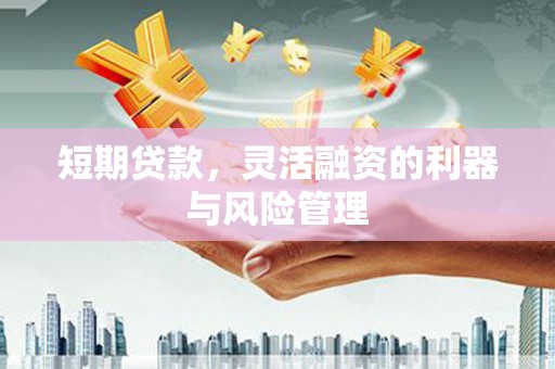 玄武短期贷款，灵活融资的利器与风险管理